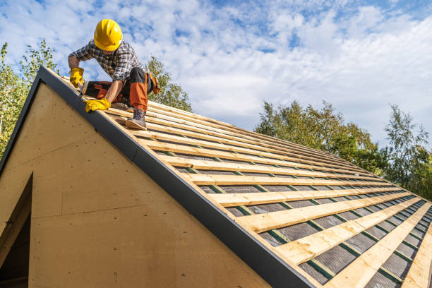 Best Roof Gutter Cleaning  in Allendale, SC